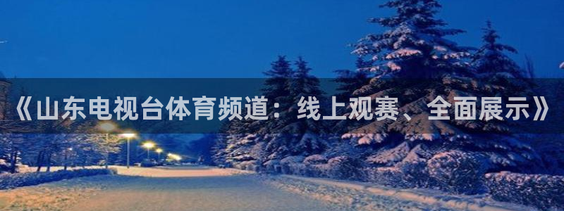 飞速体育直播app下载：《山东电视台体育频道：线上观赛、全面展示》