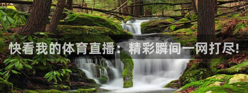 飞速体育直播app下载：快看我的体育直播：精彩瞬间一网打尽!
