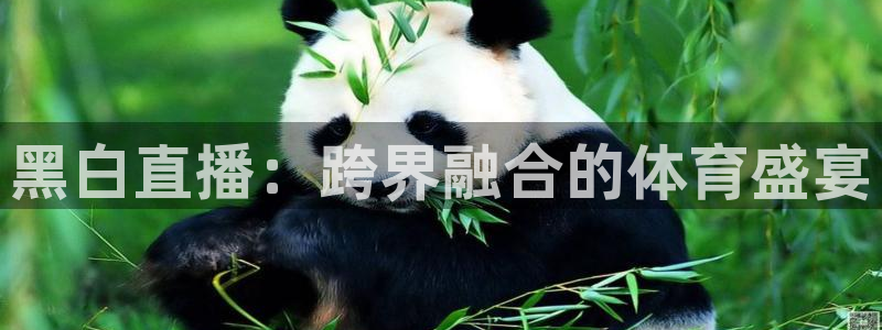 飞速体育直播吧：黑白直播：跨界融合的体育盛宴
