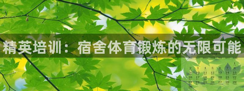 飞速直播nba：精英培训：宿舍体育锻炼的无限可能