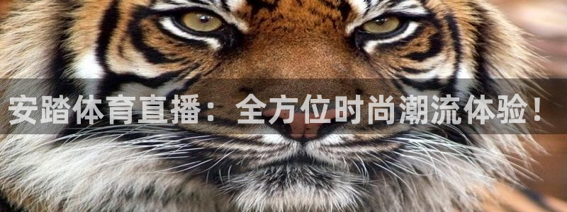飞速直播足球直播nba直播吧：安踏体育直播：全方位时尚潮流体验！