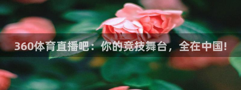 极速飞速体育直播吧体育直播：360体育直播吧：你的竞技舞台，全在中国!