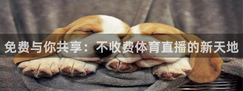 飞速nba直播在线直播：免费与你共享：不收费体育直播的新天地