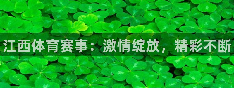 飞速看球：江西体育赛事：激情绽放，精彩不断