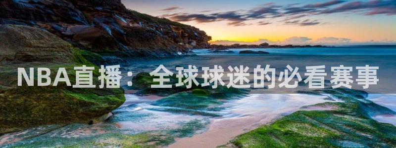 飞速看球：NBA直播：全球球迷的必看赛事